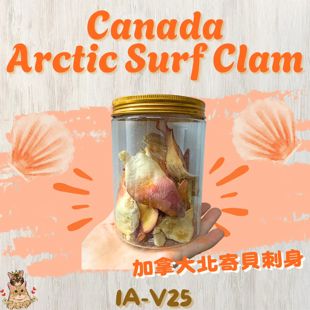 凍乾加拿大北寄貝刺身🐚
