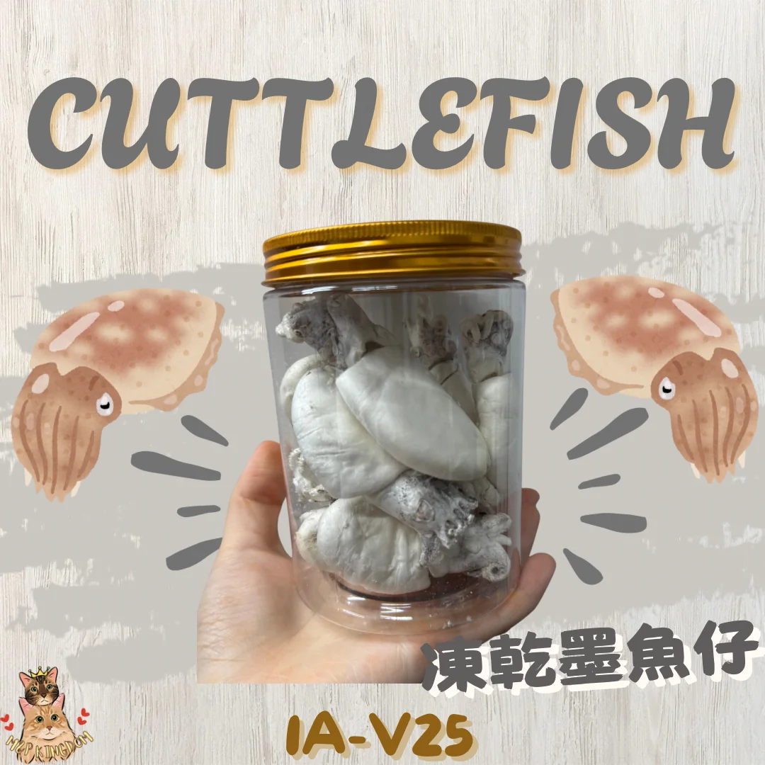 凍乾墨魚仔🦑