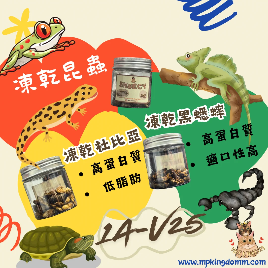 爬蟲寵物至愛✨凍乾乾昆蟲系列🐛