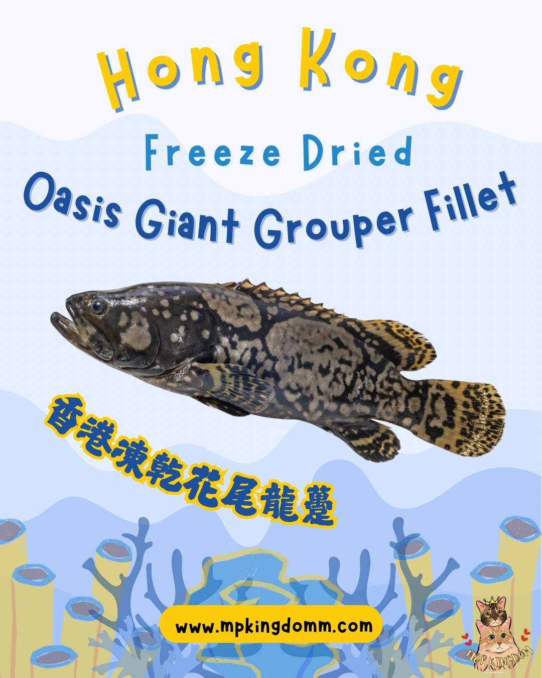 凍乾香港綠洲花龍躉🐟